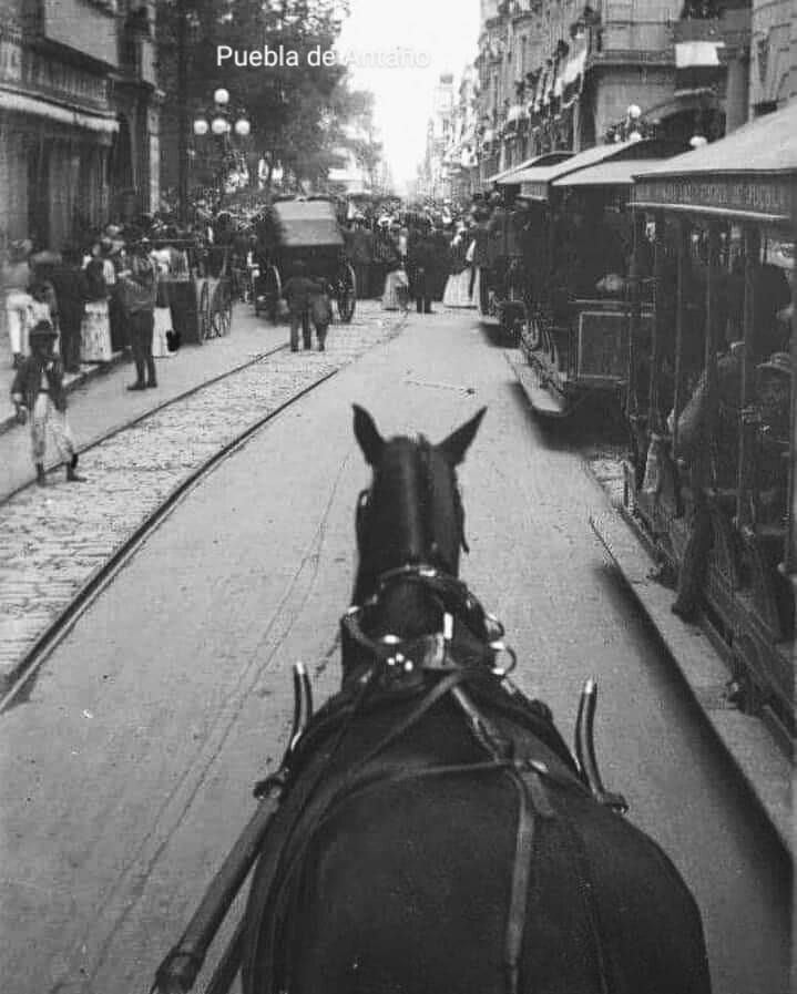 Fue hasta 1926 cuando estos tranvías tirados mulas fueron sustituidos por los de motor de gasolina | Fotos tomadas del libro de la doctora Gloria Tirado
