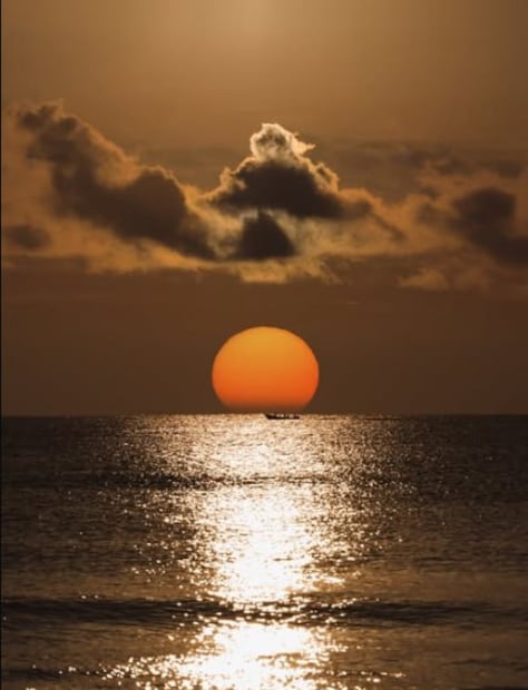 Foto: IG xicaru.chachalacas