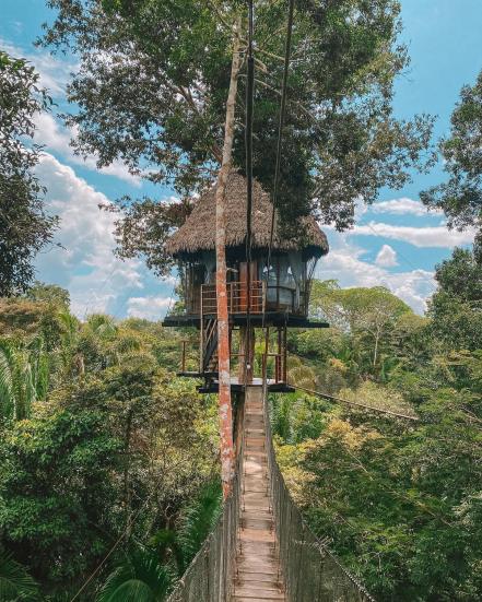 Luisito Comunica. Así es la fabulosa casa del árbol en la que se hospedó en su último viaje