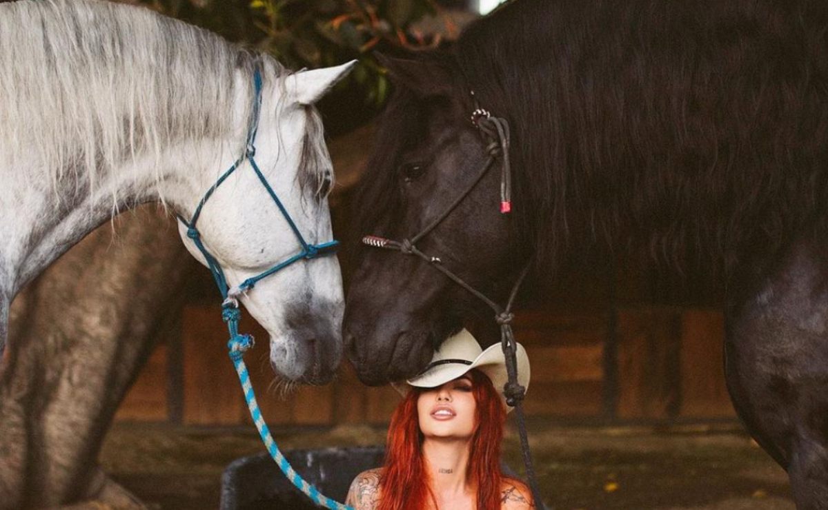 Cuacolandia, el santuario para caballos maltratados que se sostiene gracias a OnlyFans en Puebla