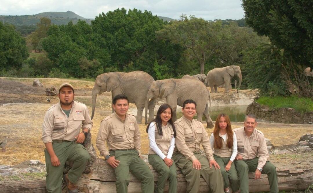 Africam Safari emplea a un promedio de 300 trabajadores de planta I Foto: Africam Safari
