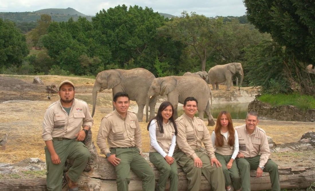 Africam Safari emplea a un promedio de 300 trabajadores de planta I Foto: Africam Safari