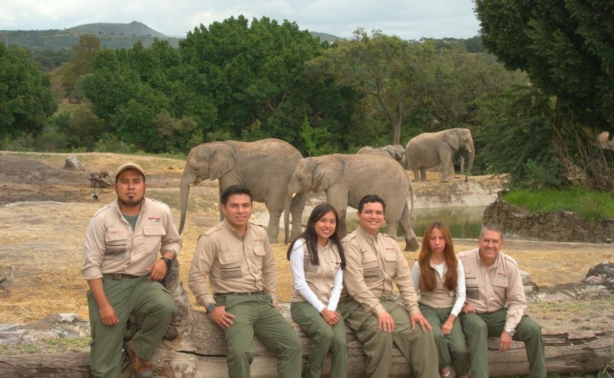Cuánto gana un empleado de Africam Safari
