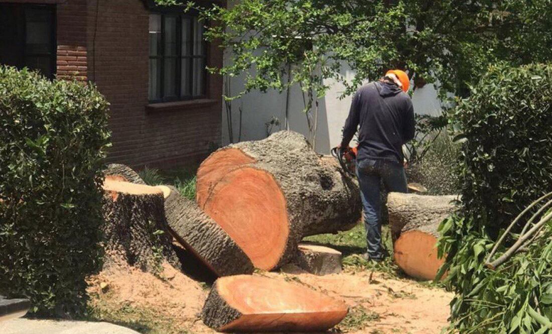 Foto: Twitter @yatzirizepeda