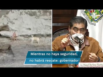 Socavón Puebla. Autoridades analizan rescate seguro de perros atrapados