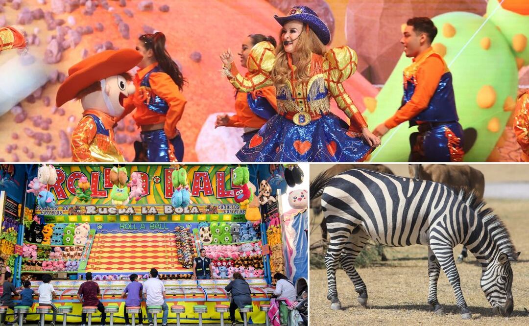 En Puebla hay muchas actividades para que los niños disfruten los días | Foto: Bely y Beto / EsImagen