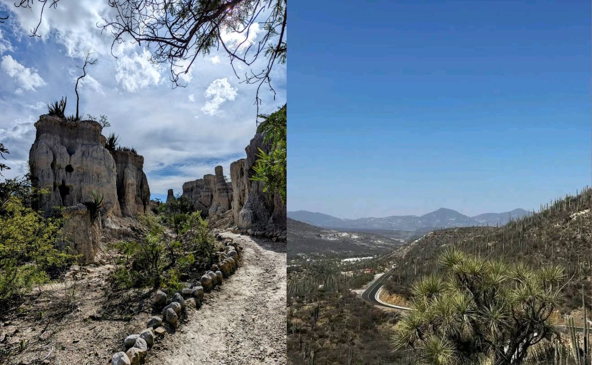 Zapotitlán Salinas, el municipio que merecía ser Pueblo Mágico y no lo logró