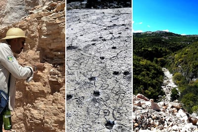 Descubre el desierto de Puebla donde caminaron camellos prehistóricos