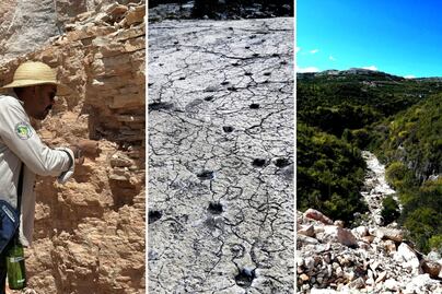 Descubre el desierto de Puebla donde caminaron camellos prehistóricos