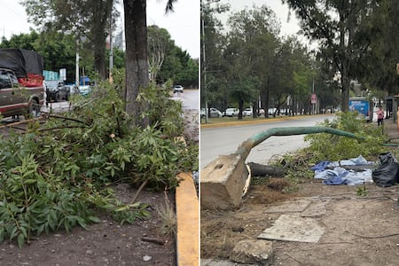 Camión de Oxxo choca frente al Hospital del Niño Poblano y hiere a tres personas