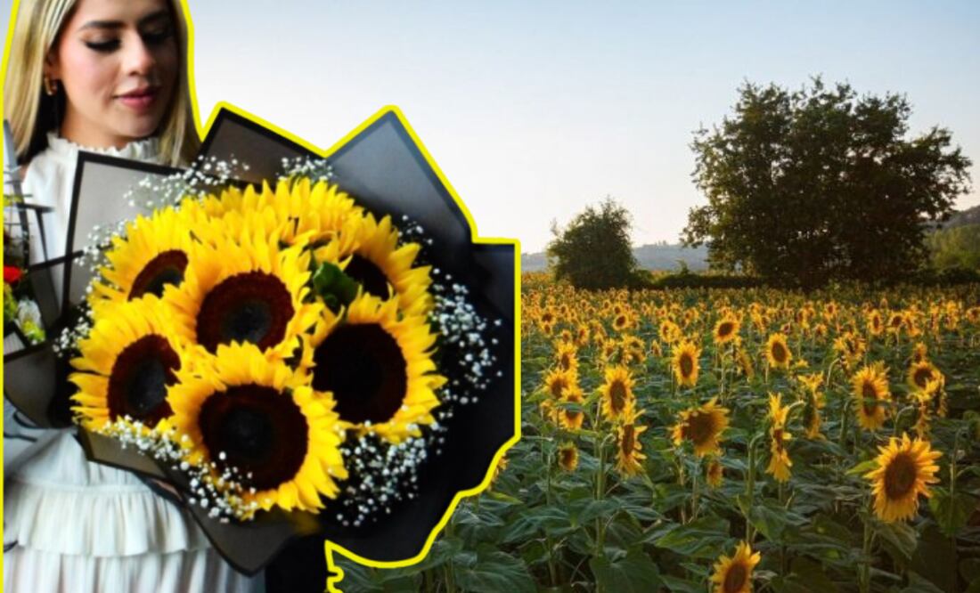 Por qué regalan flores amarillas cada 21 de septiembre I Foto: Pixabay/Canva