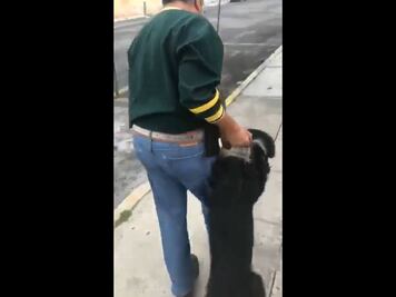 ¡Alerta! Hombre arrastra a perrito sangrando