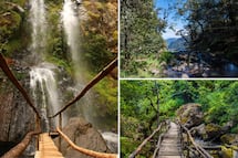 Qué hacer en Honey, Puebla: cascadas, neblina y senderos para caminar sin prisa