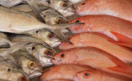 Cuaresma 2023: ¿qué es el viernes de vigilia?