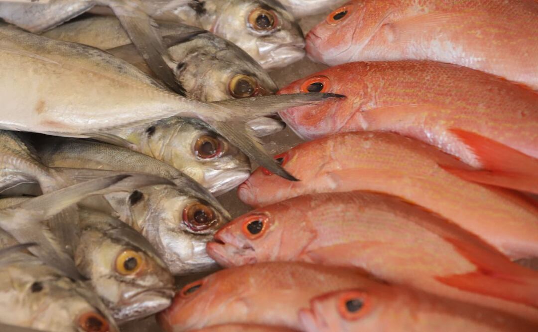 Los viernes de vigilia que restan de la Cuaresma 2023 son los días 17, 24 y 31 de marzo, así como el 7 de abril | | FOTO: Agencia Es Imagen para El Universal Puebla