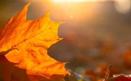 Equinoccio de otoño 2022: rituales y ofrendas