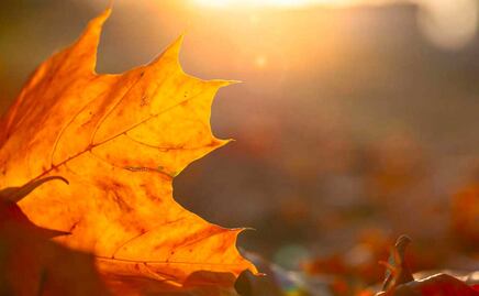 Equinoccio de otoño 2022: rituales y ofrendas