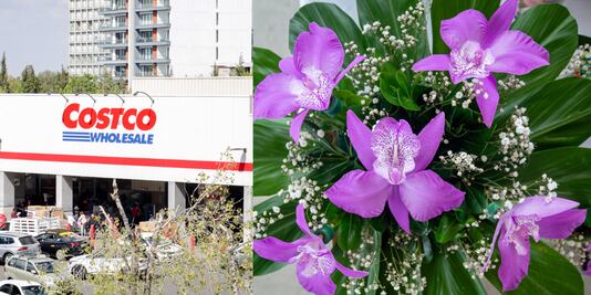 Costco: esta es la cuponera de descuentos para el Día de las Madres