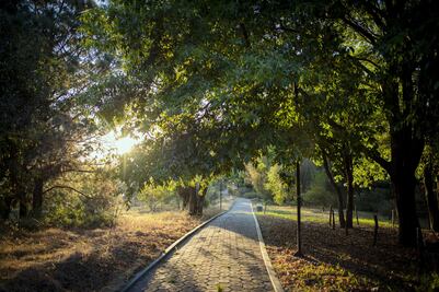 El Jardín Botánico de la BUAP, uno de los más importantes de México