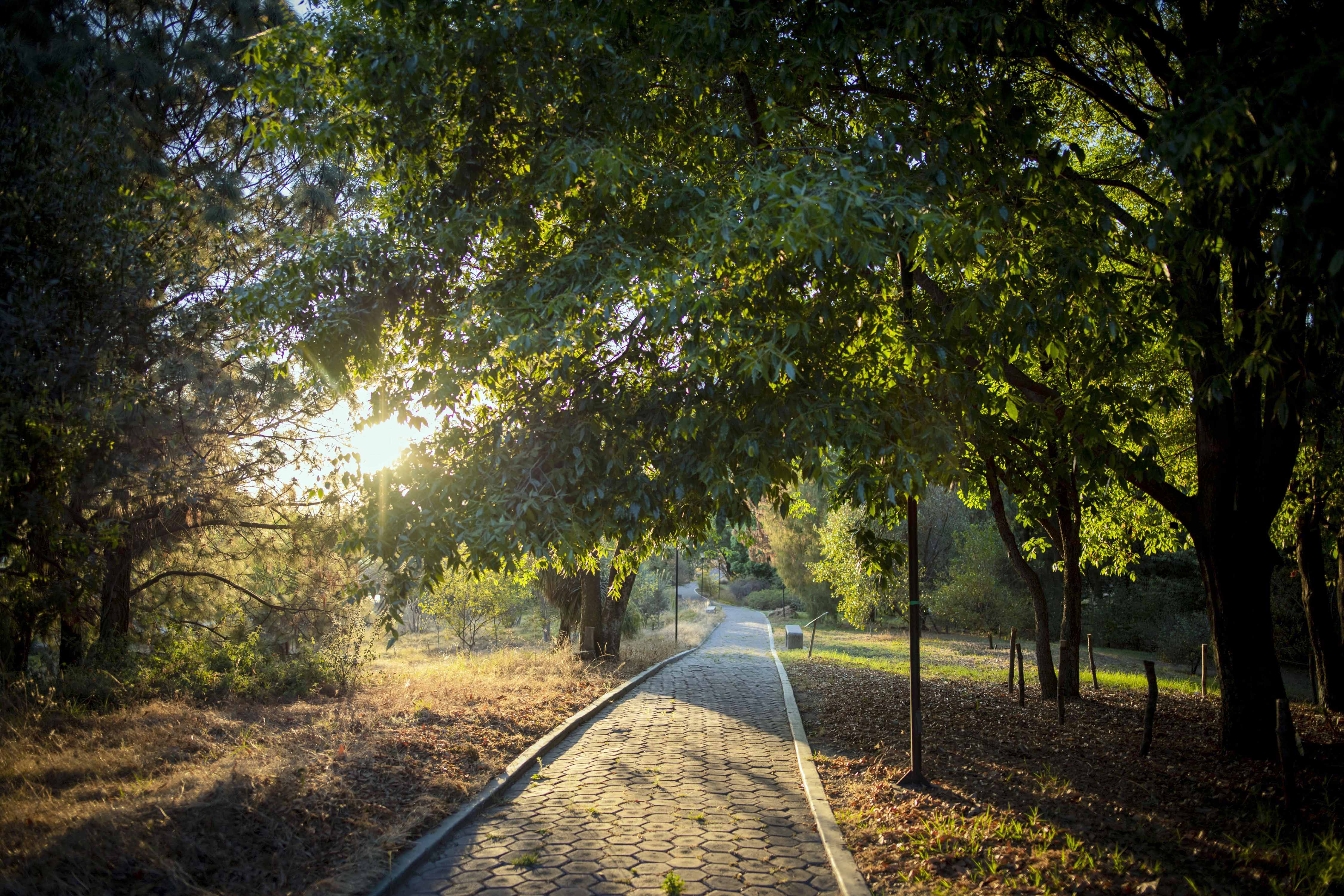 El Jardín Botánico de la BUAP, uno de los más importantes de México