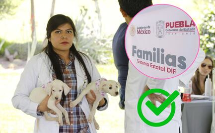 Desaparece el Instituto de Bienestar Animal, funciones pasan al SEDIF
