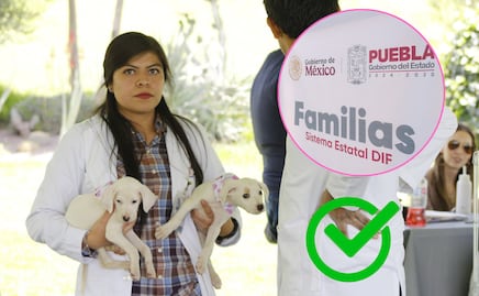 Desaparece el Instituto de Bienestar Animal, funciones pasan al SEDIF