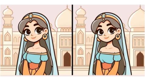 Reto visual: Solo el 2 % de los observadores han logrado detectar las diferencias de la niña en el Taj Mahal
