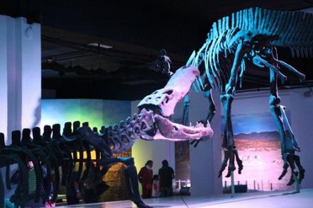 Museos que no te puedes perder en Puebla