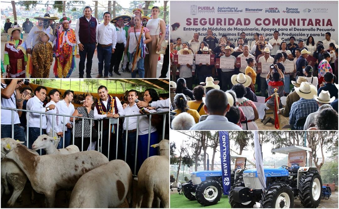 Campesinos de la microrregión de Zacapoaxtla recibieron un Módulo de Maquinaria, apoyos para el desarrollo pecuario y acuícola, así como para la sostenibilidad de la cafeticultura | Foto: Gobierno del Estado