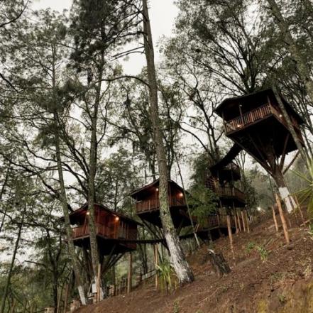 Cabañas en Puebla. Escápate a una casa del árbol en Zacatlán