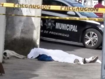 Hachiko de Amalucan: perrito resguarda a su amo que murió por congestión