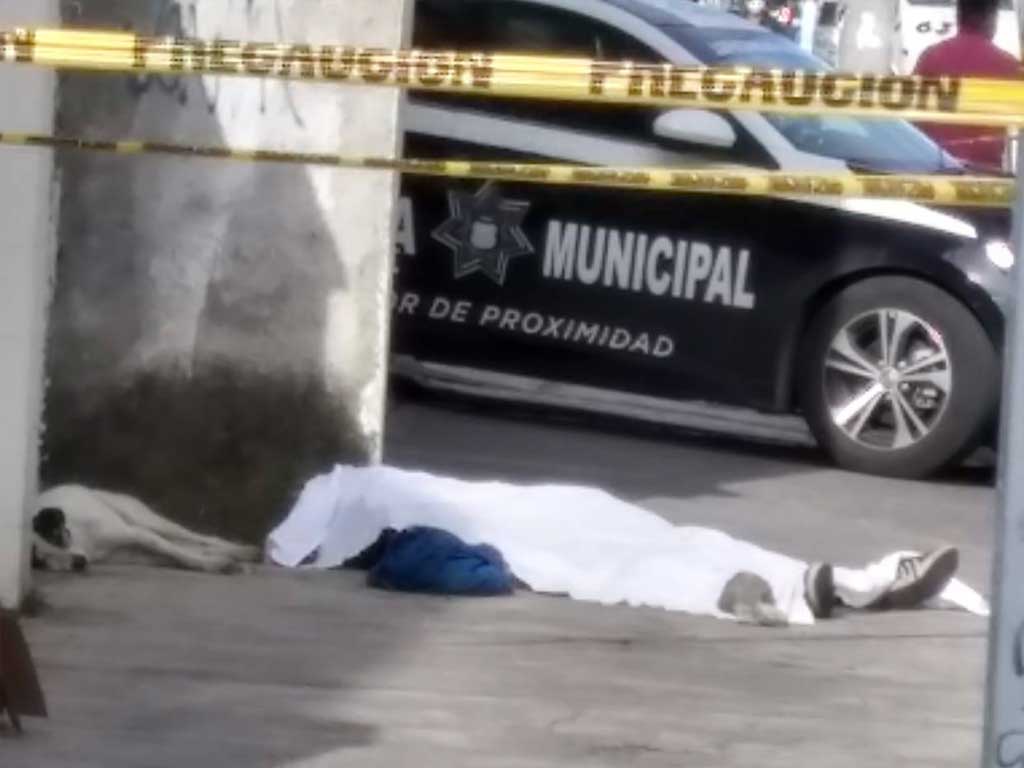 Hachiko de Amalucan: perrito resguarda a su amo que murió por congestión