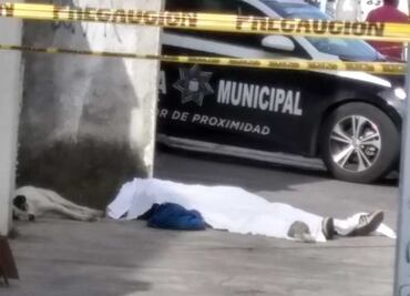 Hachiko de Amalucan: perrito resguarda a su amo que murió por congestión