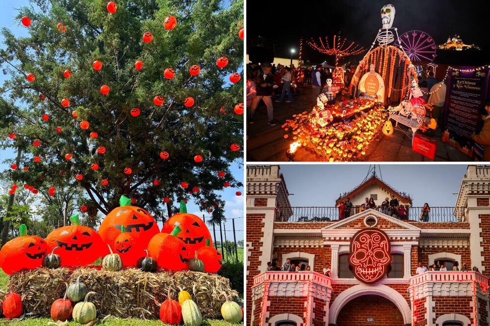 Foto: FB Pumpkin Land Atlixco / EsImagen / FB Ex Hacienda de Chautla