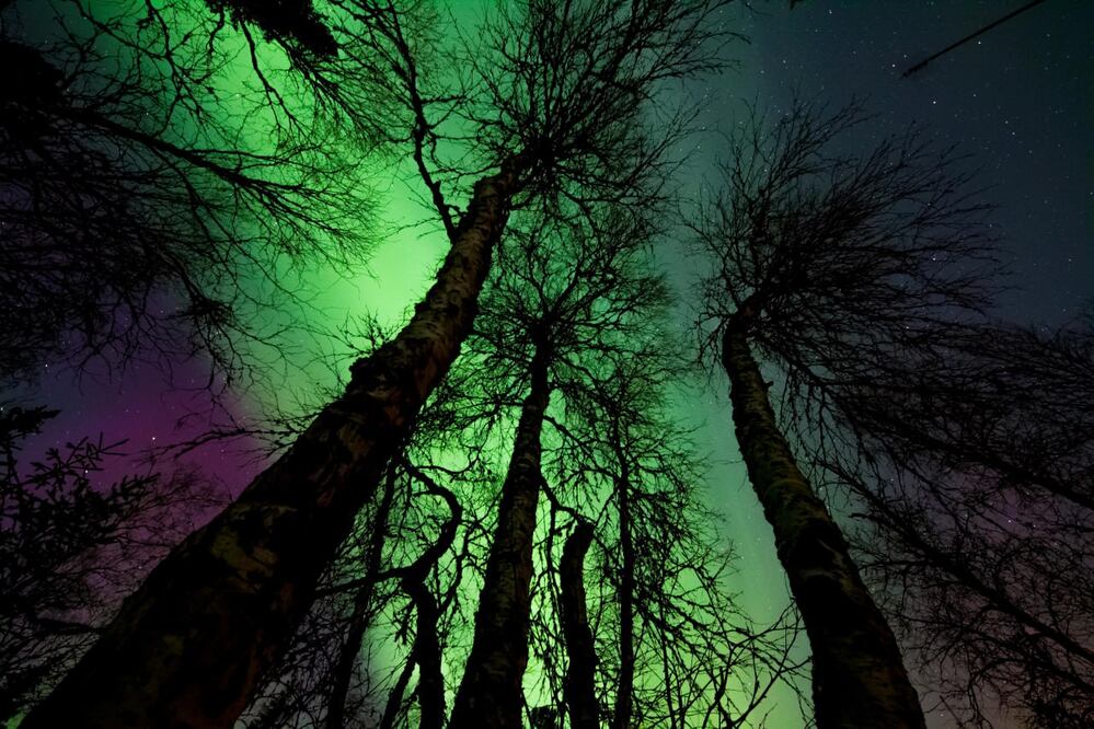 Aunque parezca imposible, en México sí se han visto auroras boreales | Foto: Pexels / Margerretta