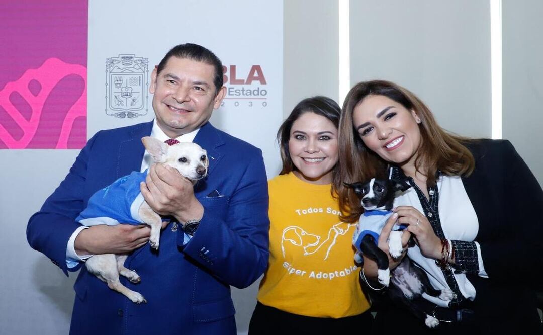 El gobernador Alejandro Armenta reafirma su compromiso con la protección de los animales | Foto: Gobierno del Estado