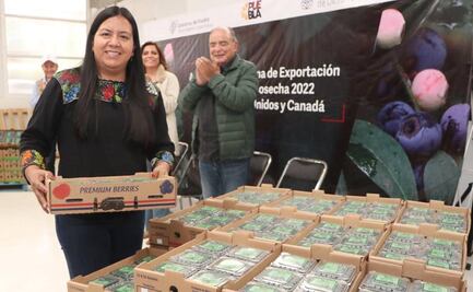 Productores poblanos inician exportación a EU y Canadá de 500 toneladas de blueberry orgánico