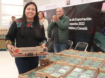 Productores poblanos inician exportación a EU y Canadá de 500 toneladas de blueberry orgánico