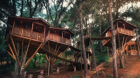 Cabañas en Puebla. 3 lugares con casitas del árbol y una más que flota sobre un lago