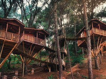 Cabañas en Puebla. 3 lugares con casitas del árbol y una más que flota sobre un lago