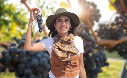 Cuánto cuesta ir de Puebla a los viñedos de Querétaro