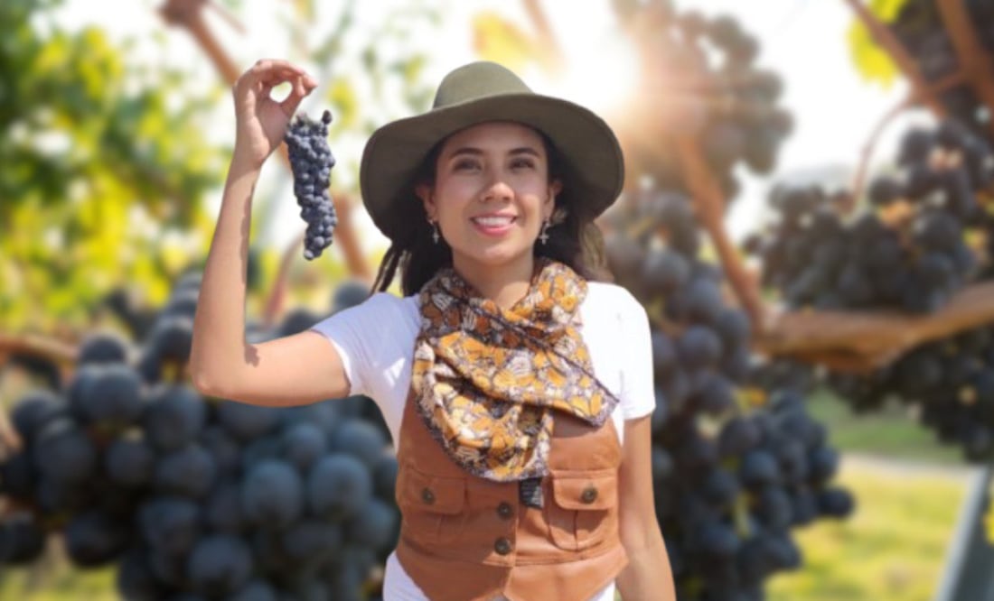 Un viaje a los viñedos de Querétaro es una buena opción en esta temporada de vendimia | Foto: Unsplash/Mariel de Viaje