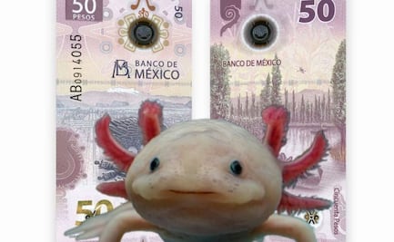 Si coleccionas billetes de ajolote ¡felicidades, valen 12 millones de pesos!