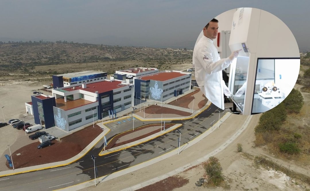 Ciudad Universitaria 2 de la BUAP albergará 28 licenciaturas e ingenierías | Foto: EsImagen