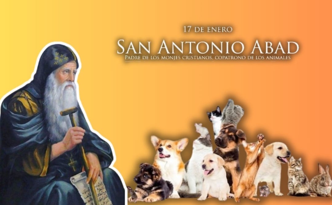 Este Día de San Antonio se bendice a las mascotas | Foto: Canva
