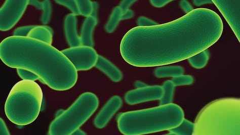 ¿Qué es la bacteria klebsiella oxytoca y cuáles son los síntomas?