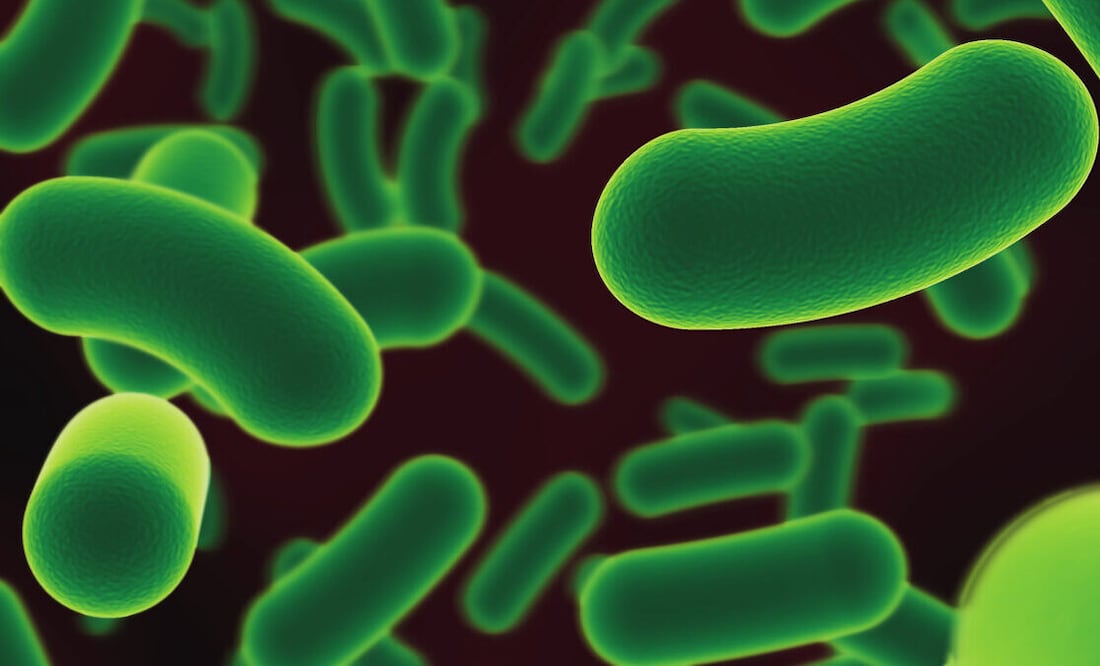 Las autoridades sanitarias continúan monitoreando la situación de cerca y trabajan para contener el brote, tomando medidas preventivas en los centros de salud afectados y ofreciendo tratamiento adecuado a los pacientes infectados.
Foto: Producción El Universal Puebla