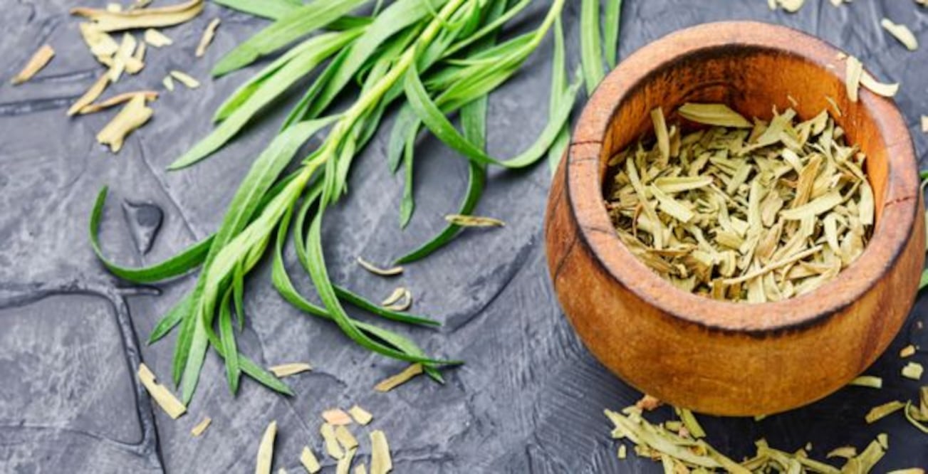 Sus compuestos poseen propiedades antiinflamatorias que pueden ayudar a reducir la inflamación en el cuerpo, lo cual es beneficioso para condiciones inflamatorias como la artritis.
Foto: Producción El Universal Puebla