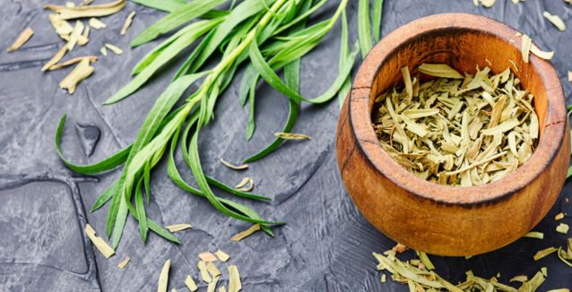 Sus compuestos poseen propiedades antiinflamatorias que pueden ayudar a reducir la inflamación en el cuerpo, lo cual es beneficioso para condiciones inflamatorias como la artritis.
Foto: Producción El Universal Puebla