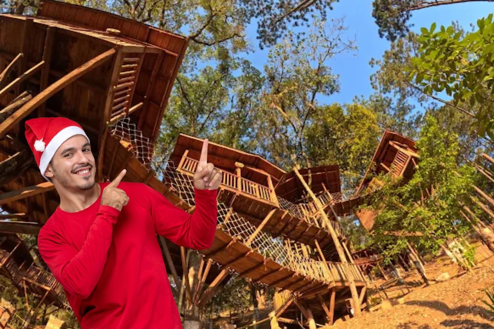 En Puebla hay casas del árbol lujosas ideales para Navidad | Foto: Freepik / Google Maps